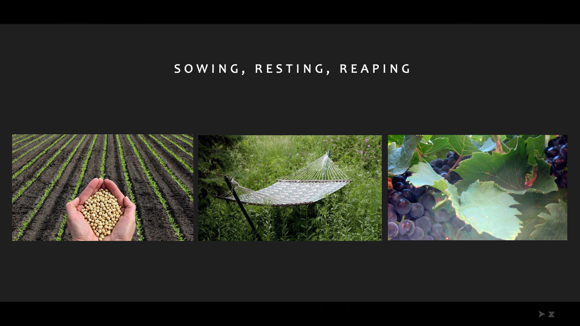25 sowing-resting-reaping.jpg