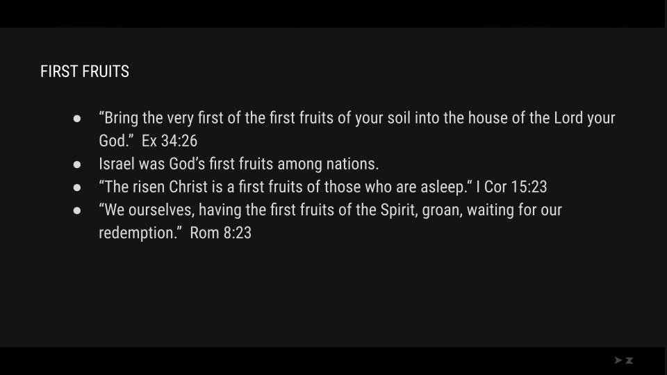 FIRST FRUITS TO SECOND FRUITS (2).jpg