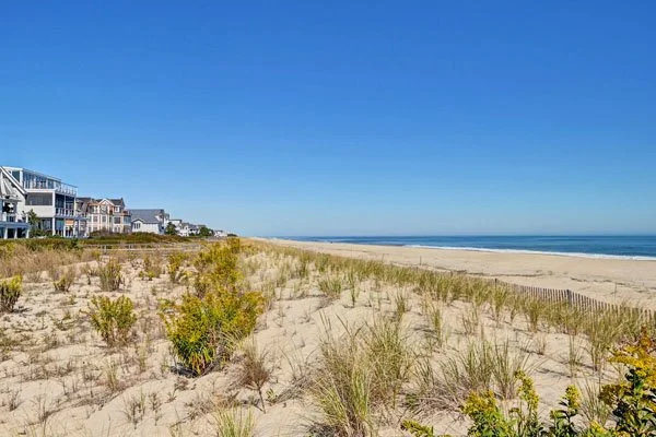 beachview.jpg