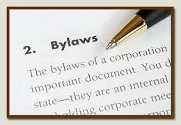 Bylaws Graphic.jpg