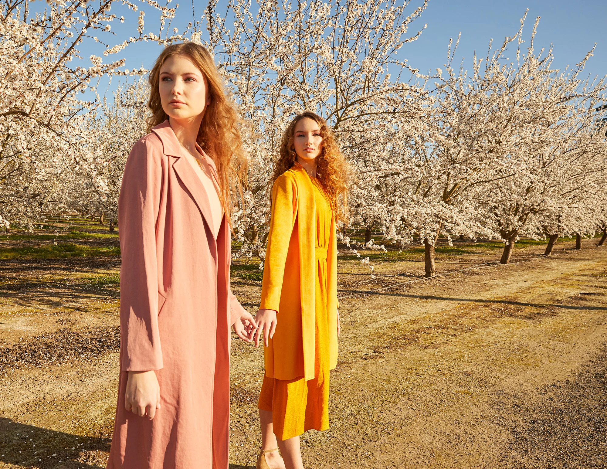 Solstice Magazine