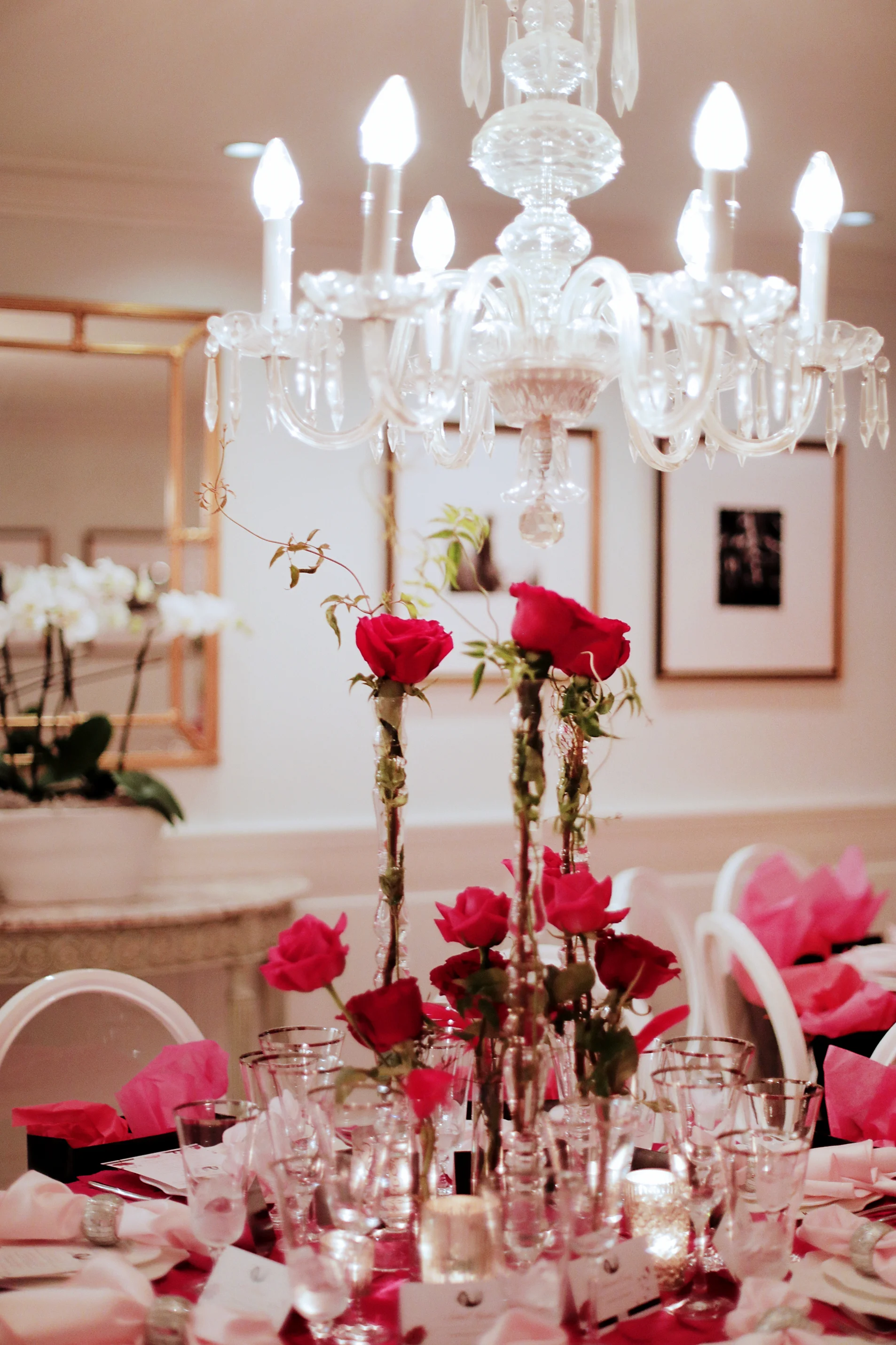 Valentines Day Gala