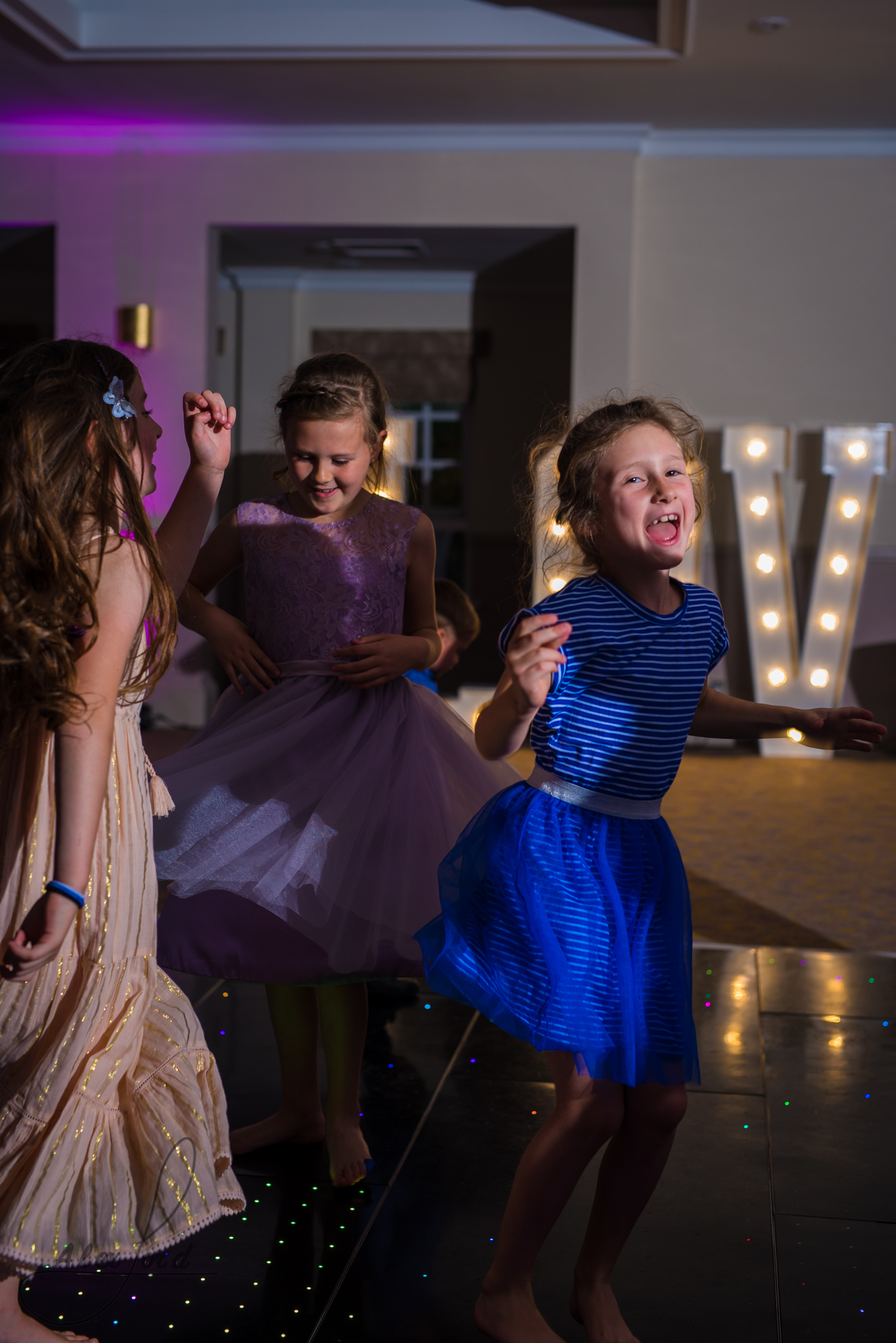 party animals hit the dance floor