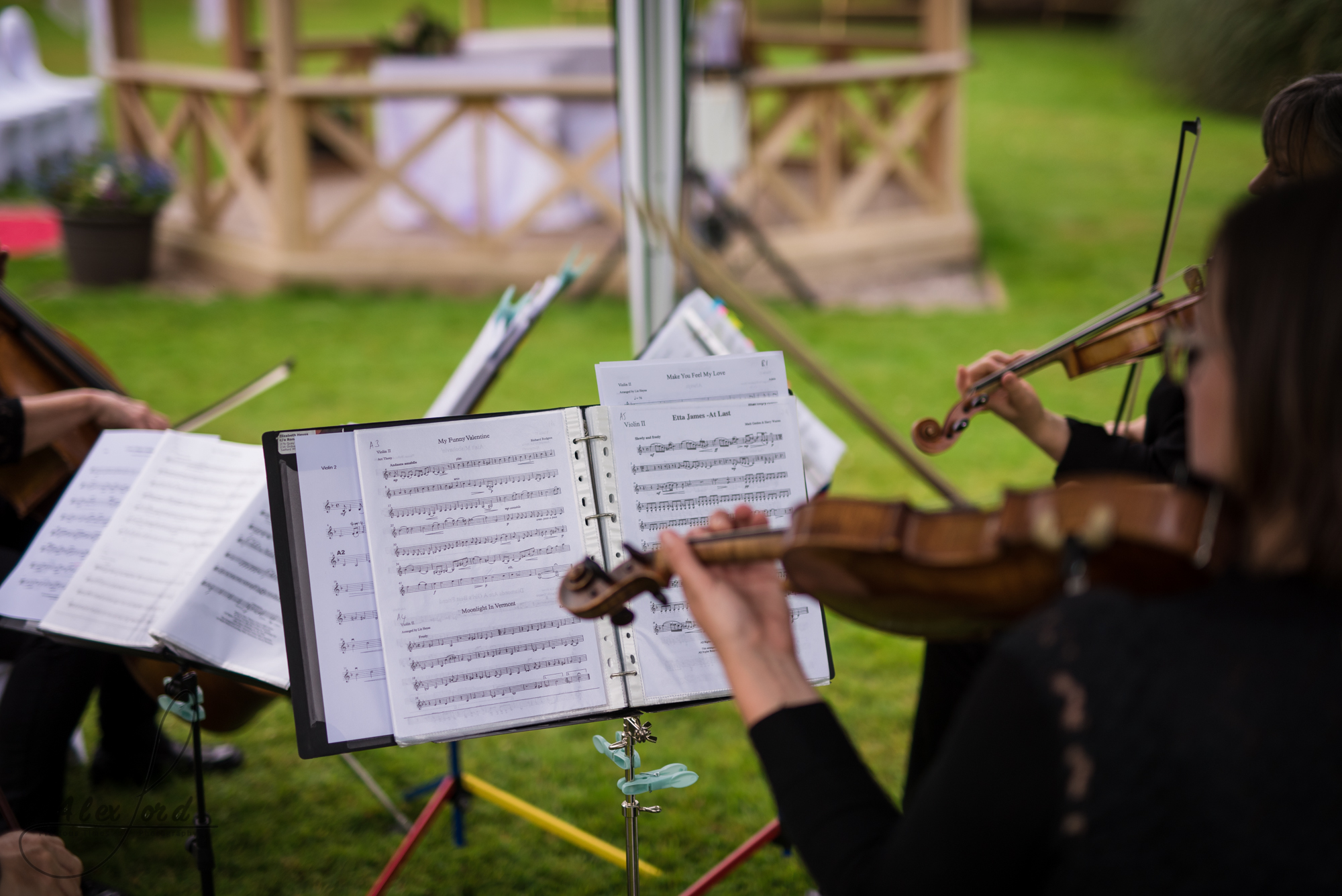 a string quartet provide musical entertainment during the wedding welcome drinks reception