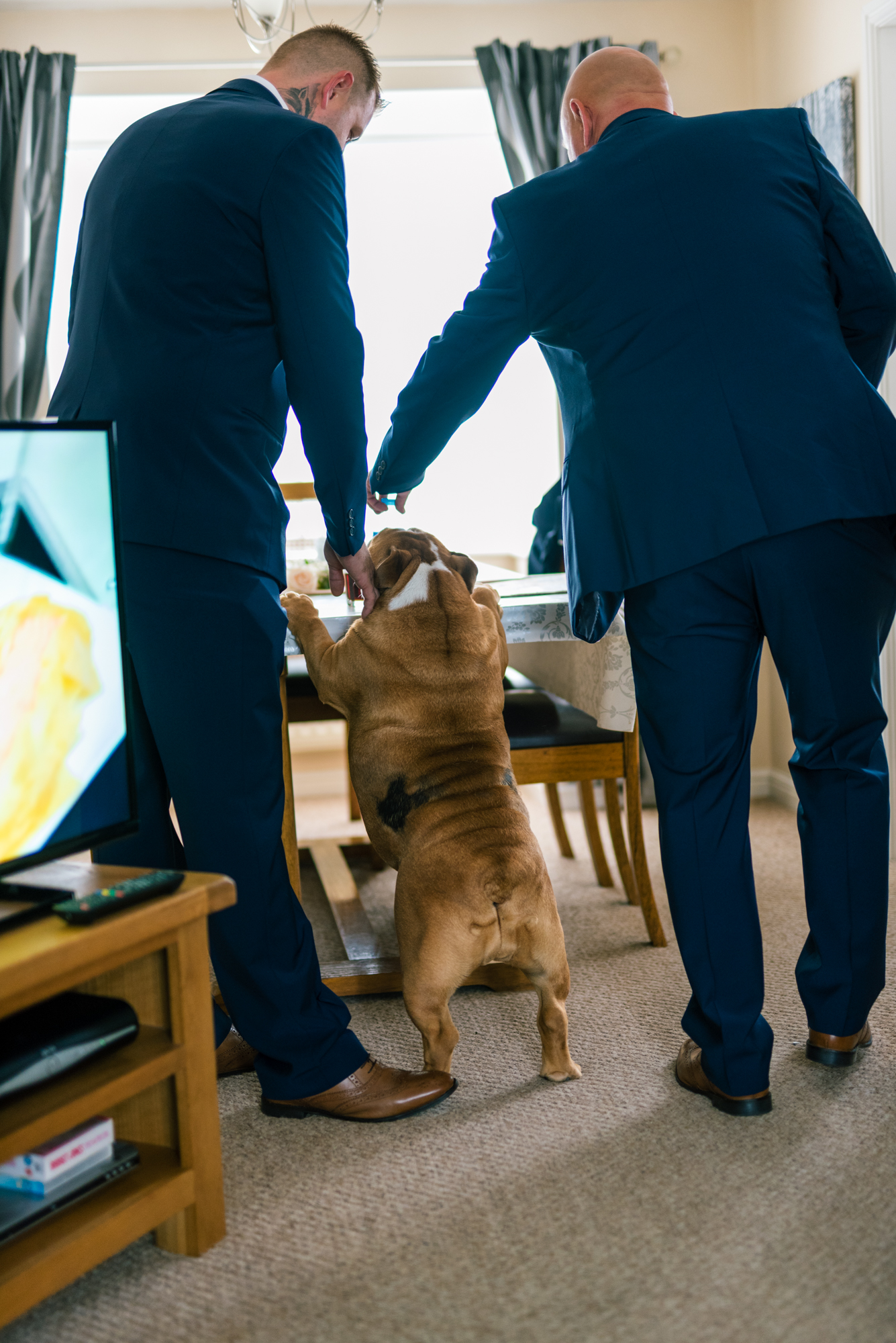 dog joins the groom and the best man