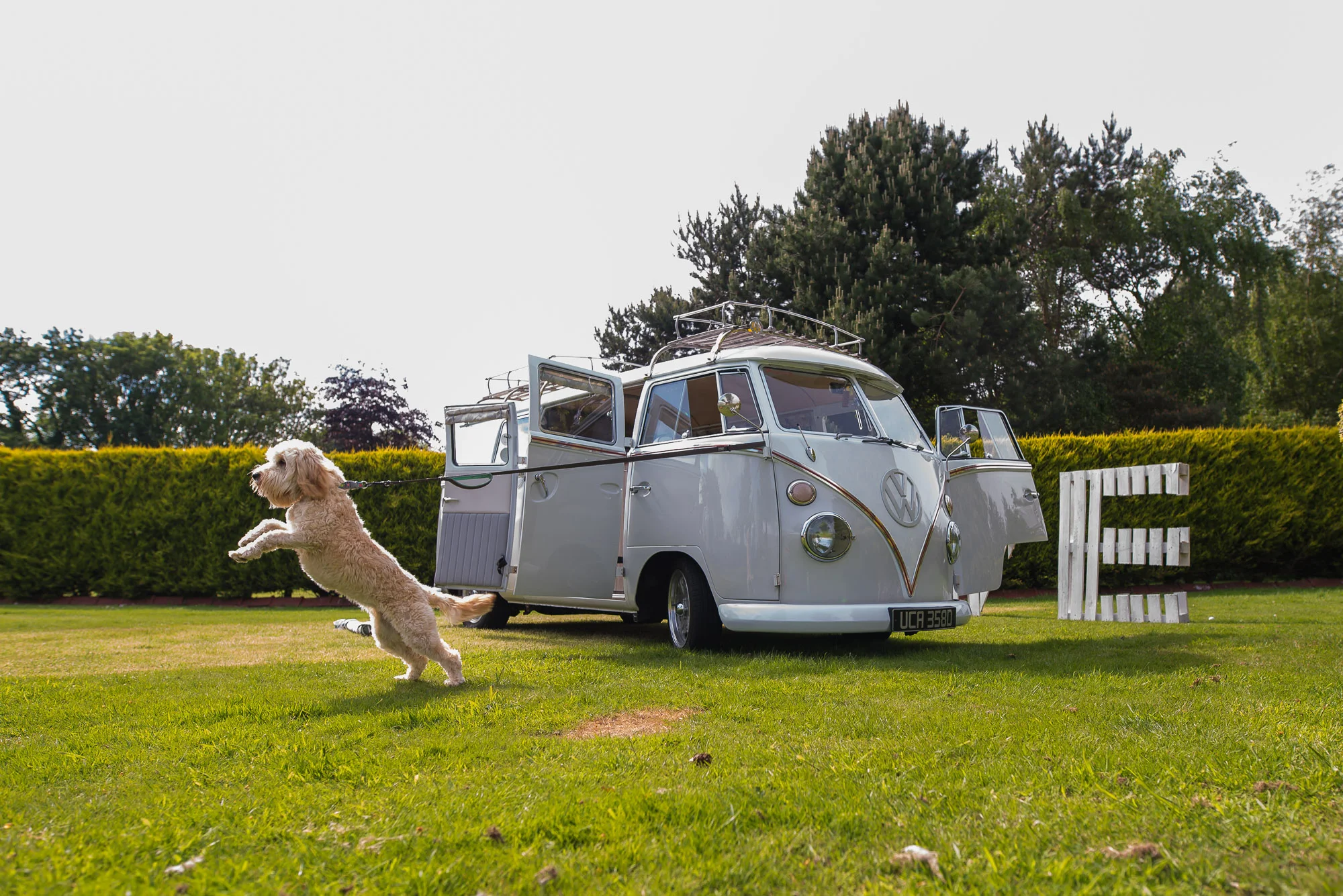 Phoebe the camper van