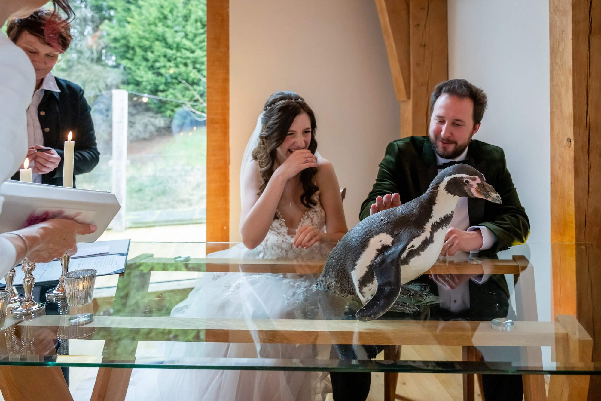 Jen and Tom with Penguins at The Mill Barns Wedding Venue