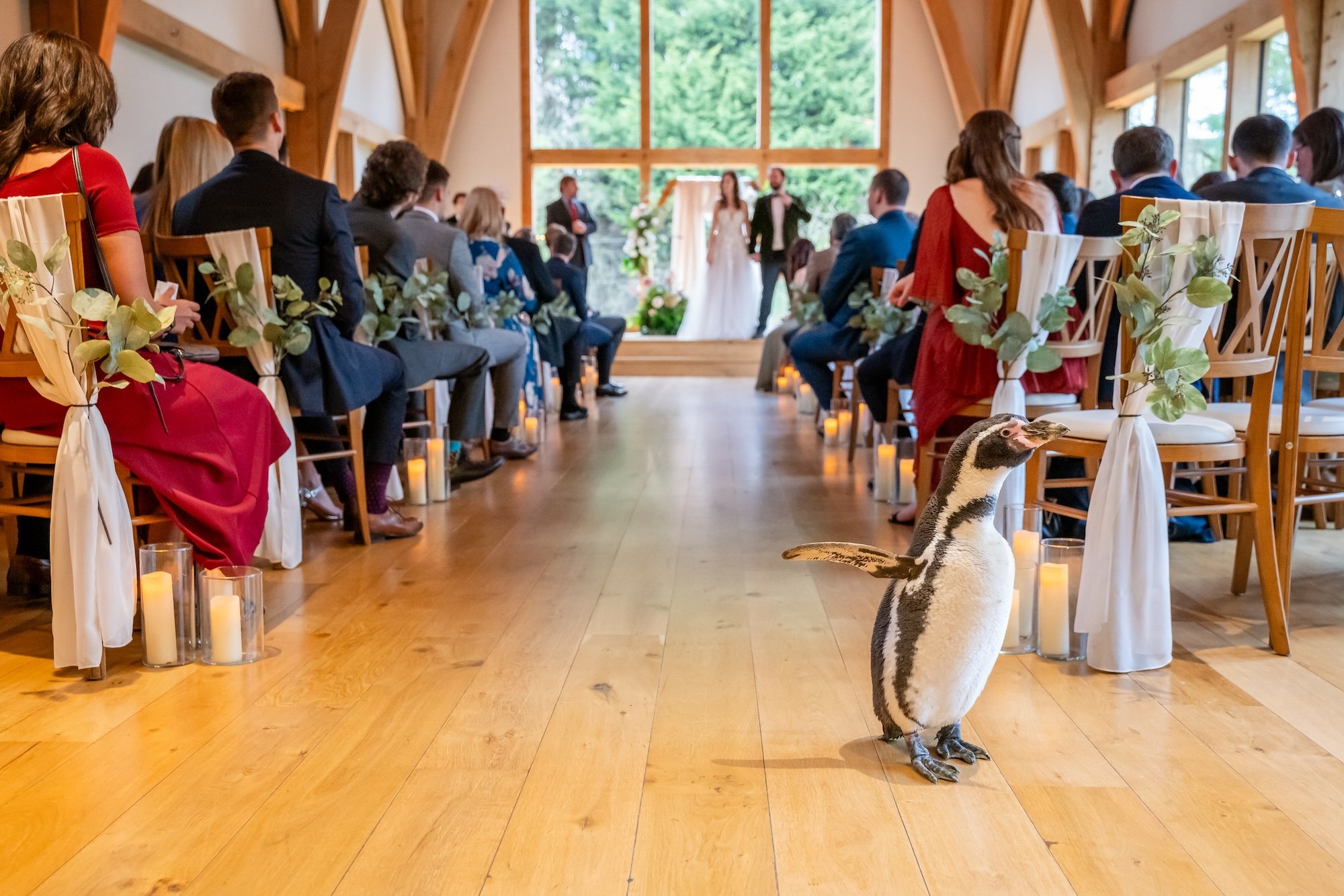 Penguins in the ceremony room at The Mill Barns Wedding Venue