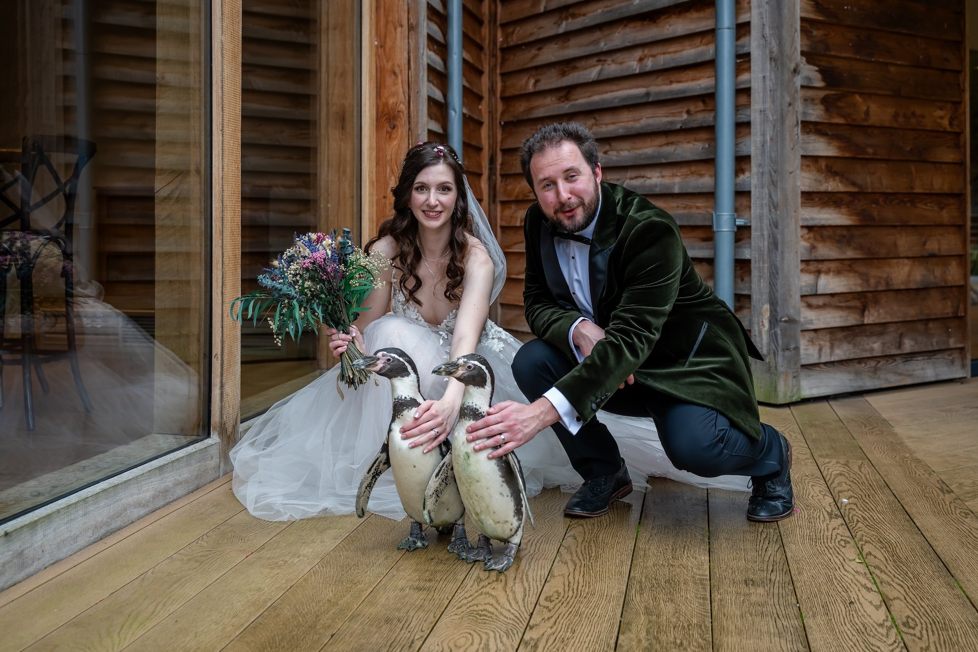 Bride and Groom with Penguins