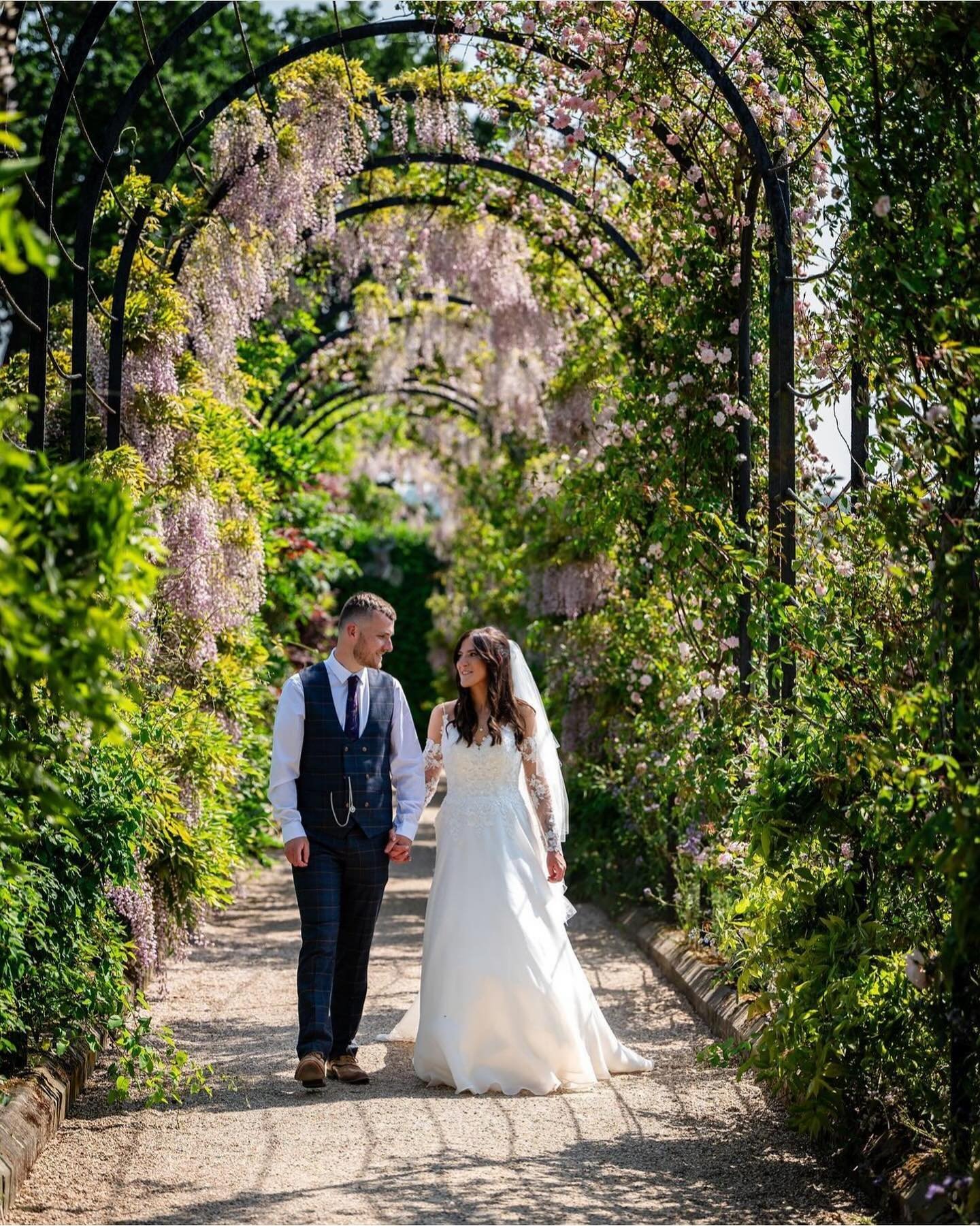 Nope, not Tuscany, but Stoke-on-Trent and the glorious Wisteria archway path at @trenthamweddings.

Amber and Jayme are celebrating their first wedding anniversary today and the bit of sunshine they had is certainly welcome back here now. 

I&rsquo;m