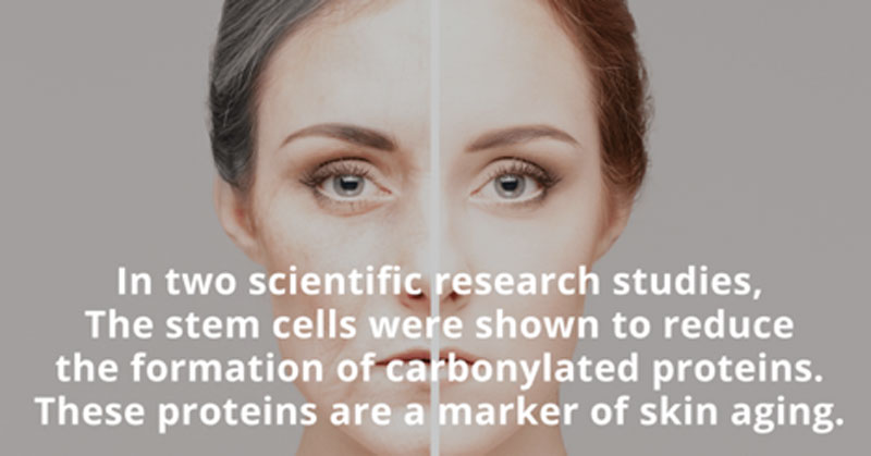 Reserch Studies