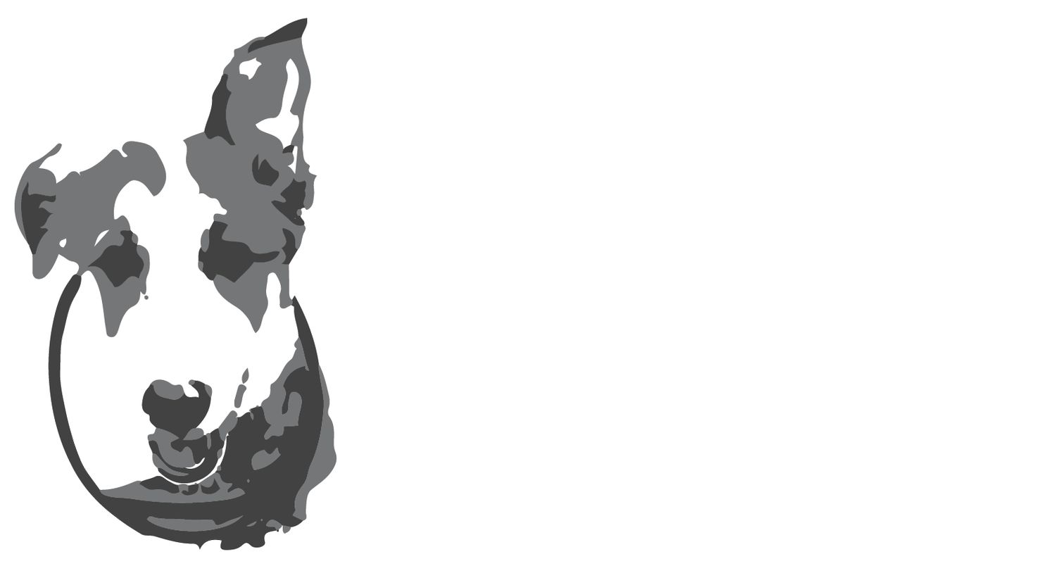 Alvin n' Pals