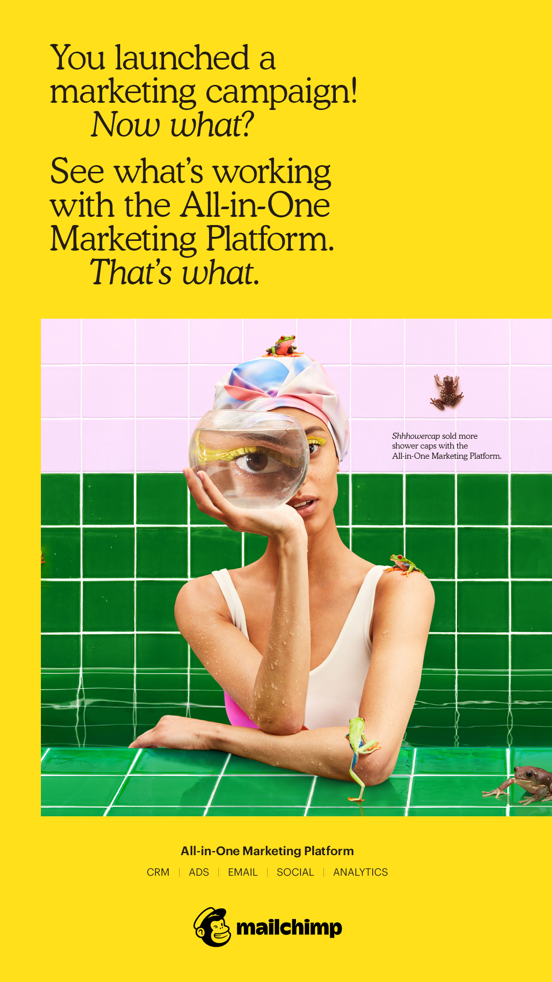 MailChimp 'Now What' Branded Campaign
