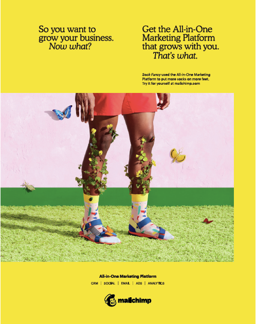 MailChimp 'Now What' Branded Campaign