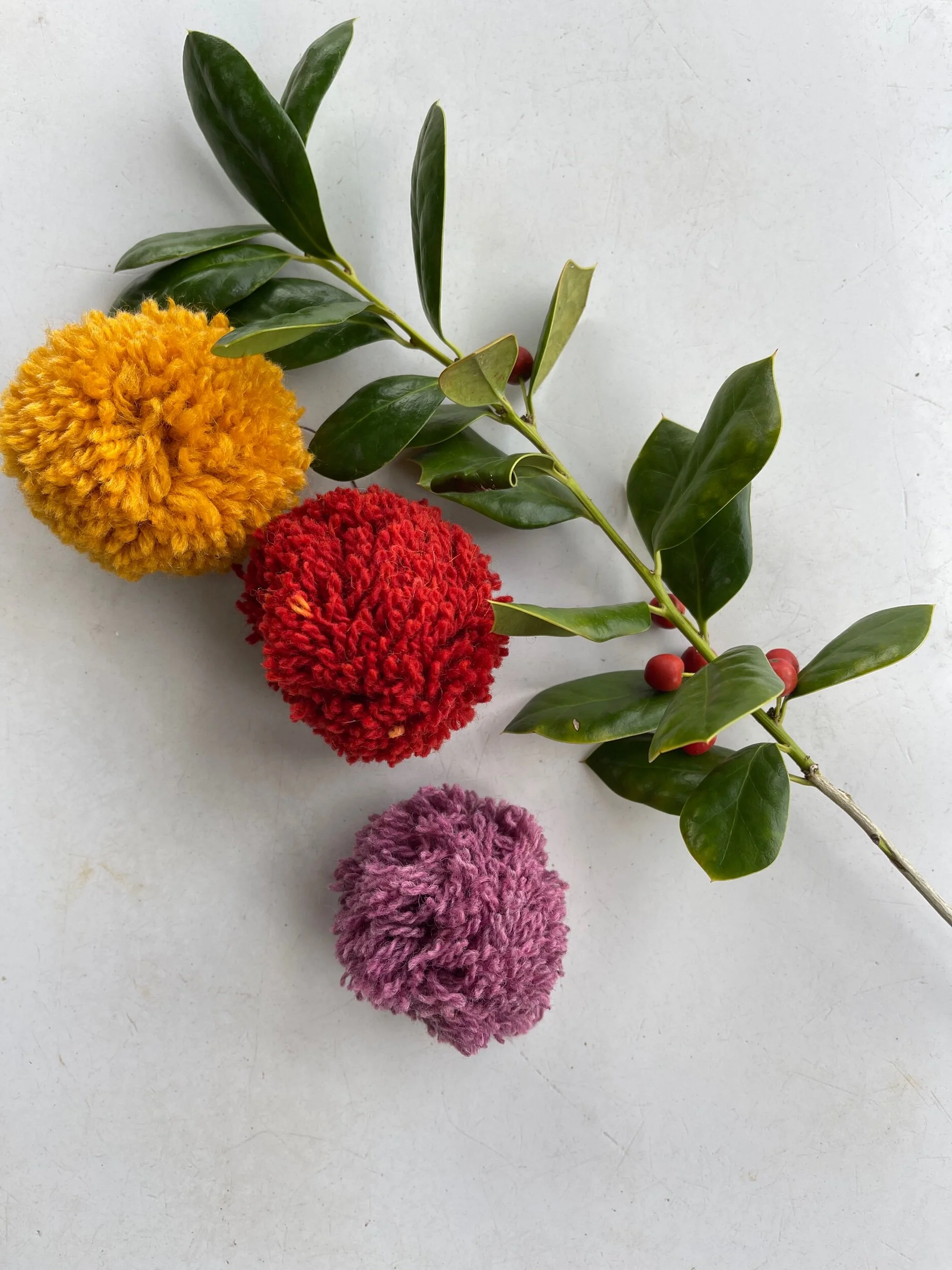 0E00224F-D027-44E5-BC3D-9E0AC4D31F6E