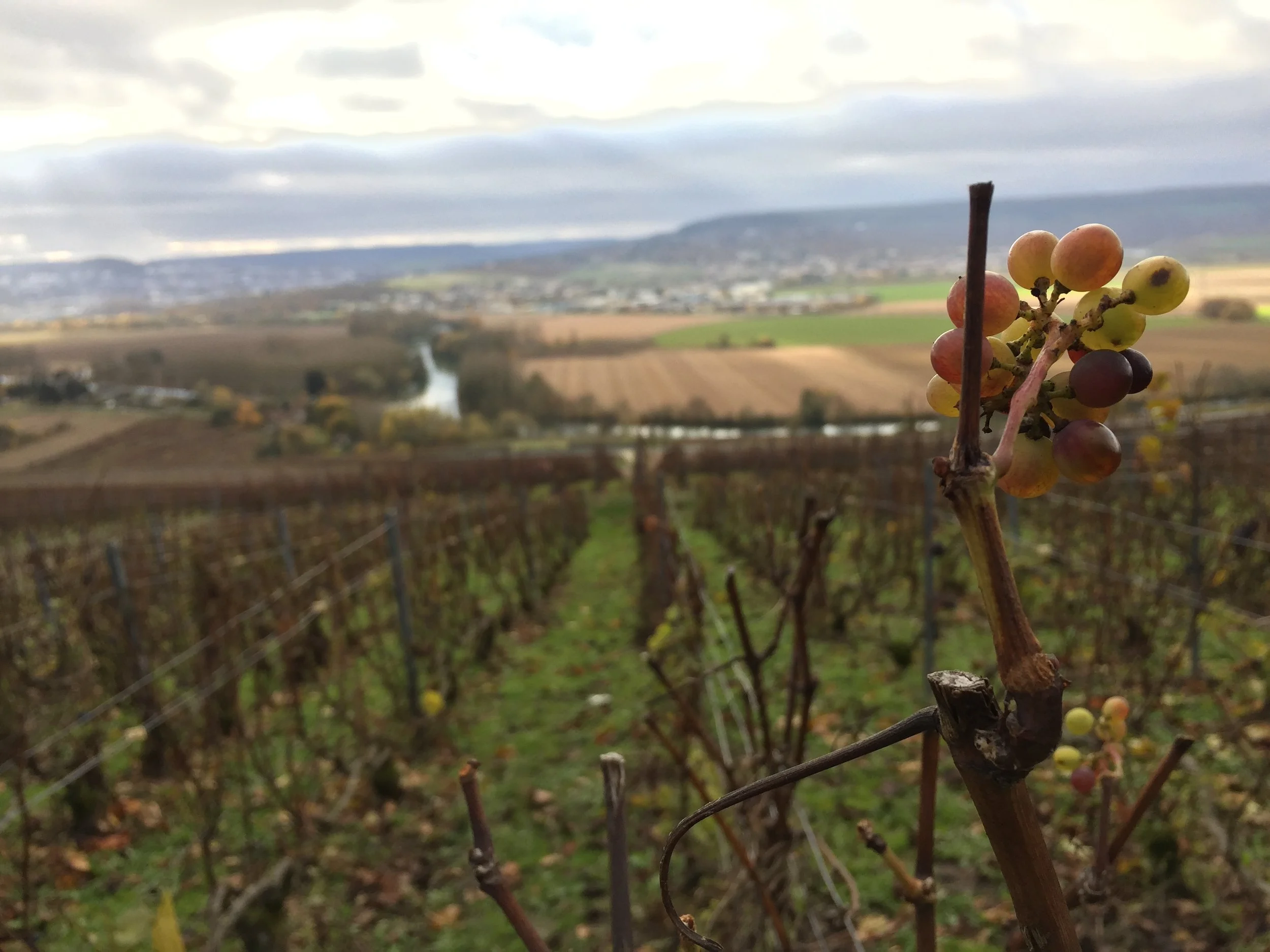  Champagne Region of France 
