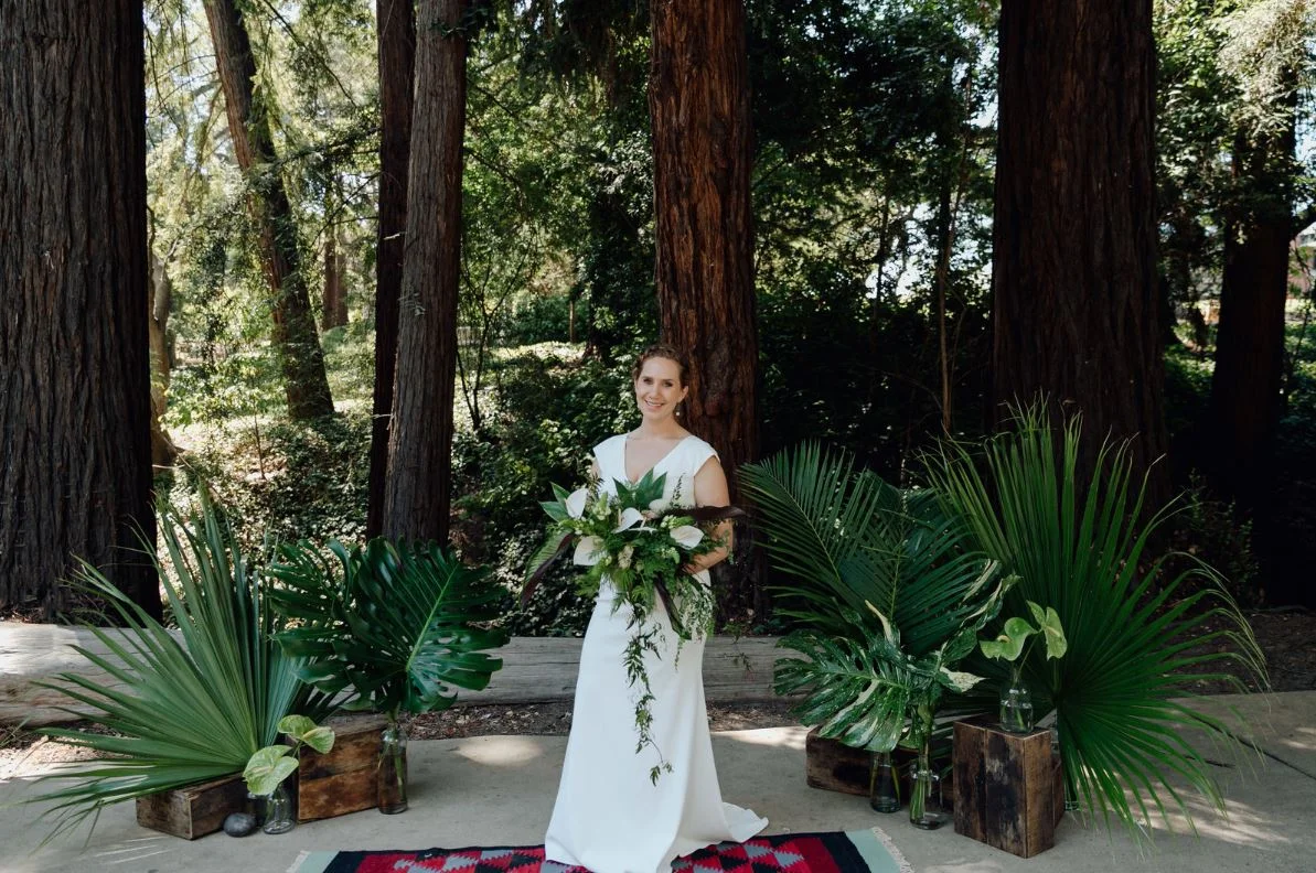  all the tropical plants, july 2018 || marble rye photography 