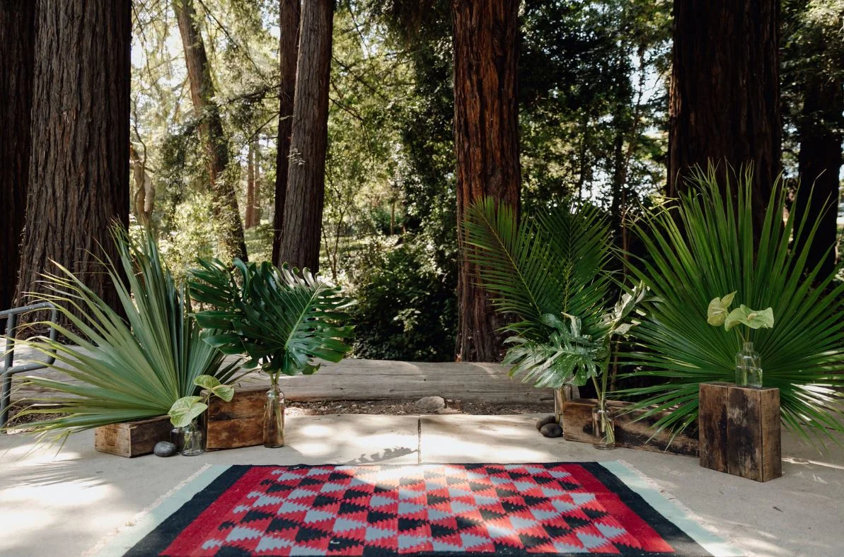  tropical ceremony backdrop, july 2018 || marble rye photography 