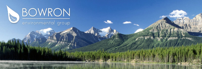 Bowron Environmental Group Ltd.