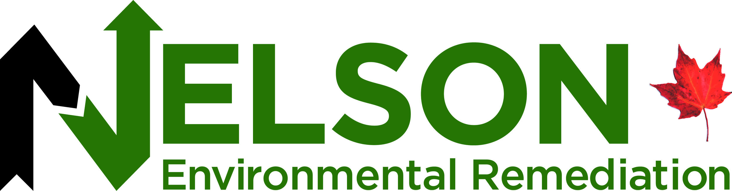 Nelson Environmental Remediation Logo.jpg