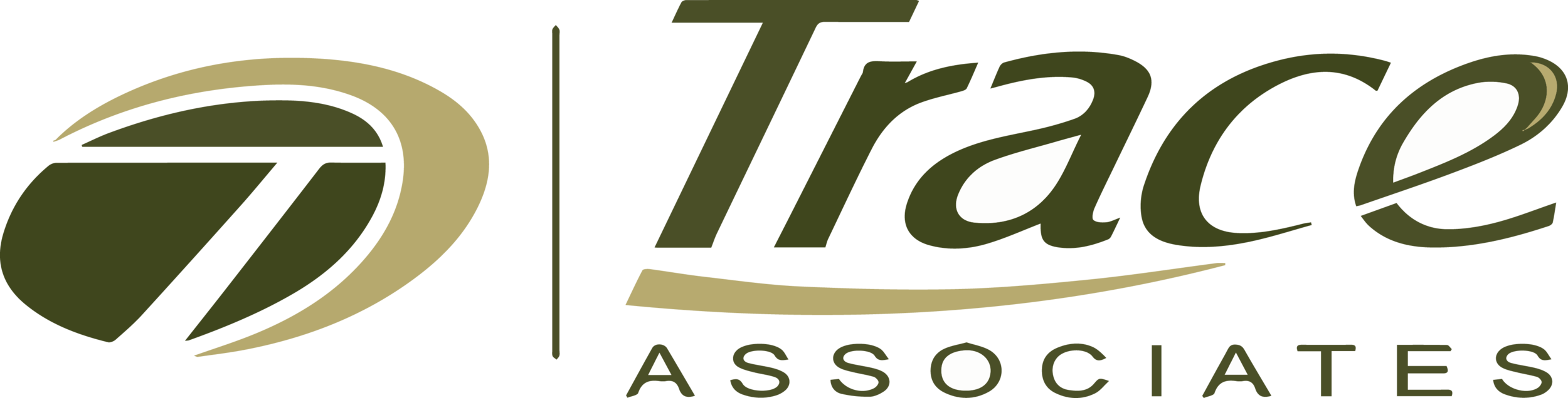 Trace Associates Logo.png