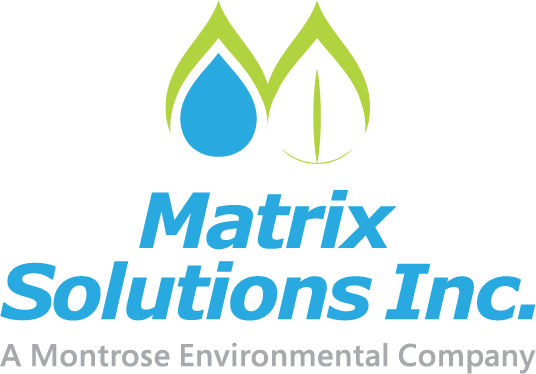 Matrix Solutions Logo_STACK_Color - Wednesday Workshop Room.png