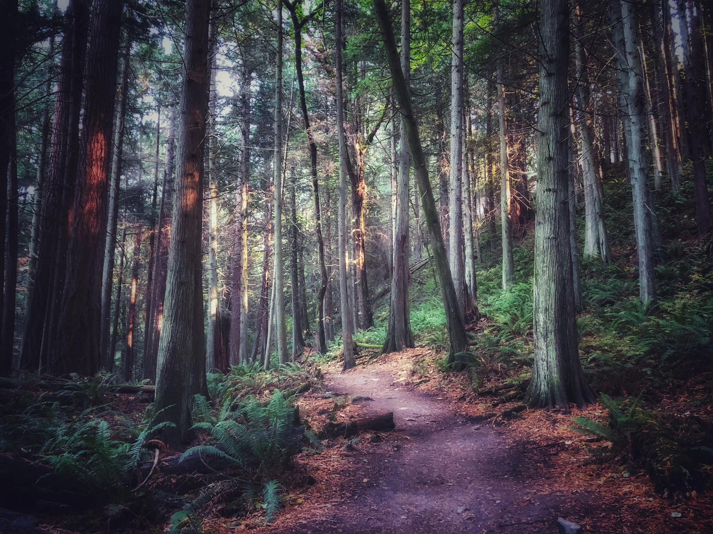 Fragrance Lake Hike and Happy Hour