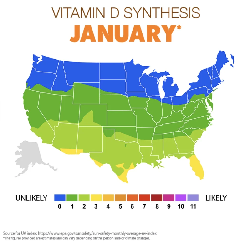Feeling the Winter Blues? Check Your Vitamin D! — Jen Rhines