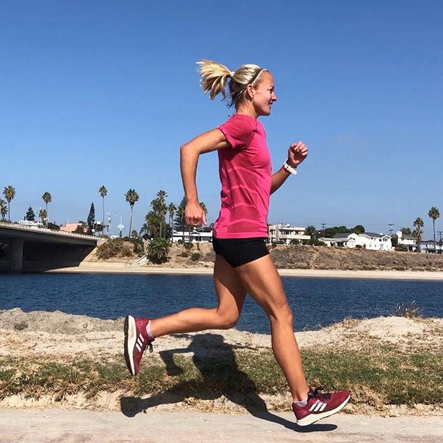 🌀Today was a SLOW recovery run &hellip; but seeing 2 seals swimming parallel to me was definitely the highlight!  Reminds me how thankful I am to live in a place where this can be a random occurrence! (⬆️ old pic - same run 🏃&zwj;♀️) .
.
.
.
#itsth