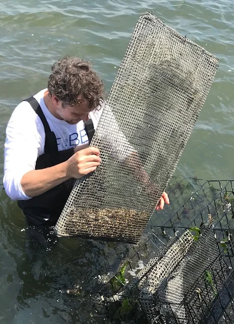 Tom oysters in envelope June 2 2018.jpg