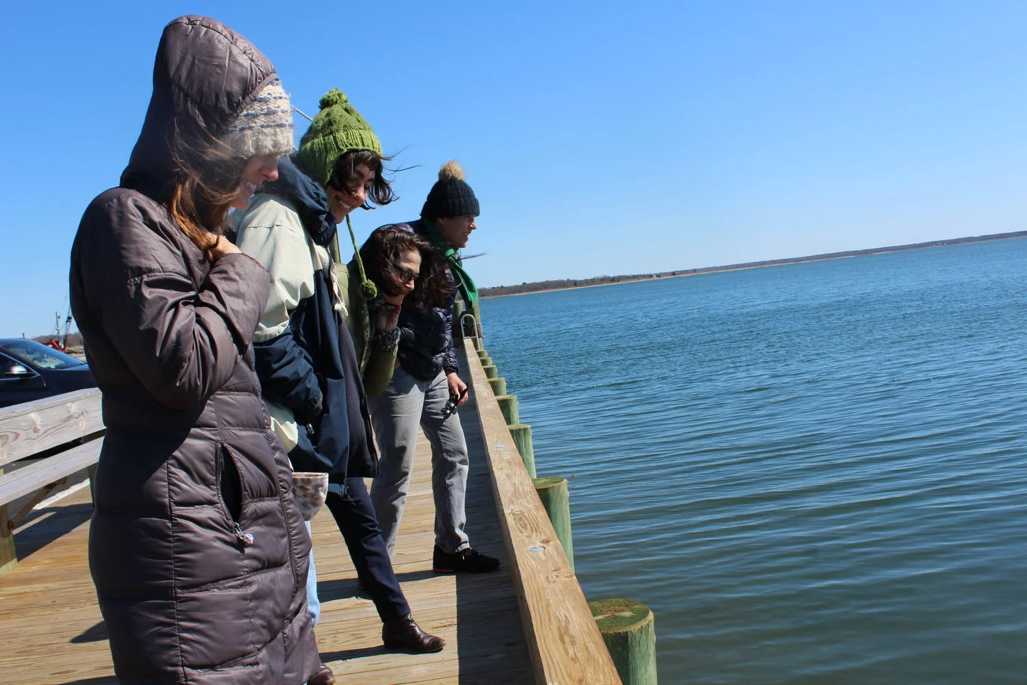 Article: One million oysters and a new executive director