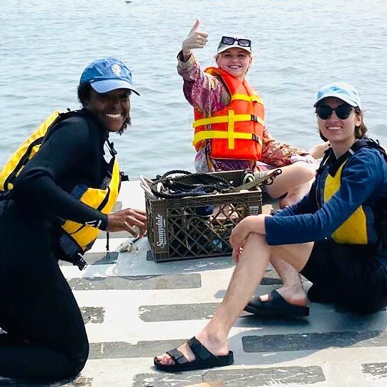 Happy Labor Day and a huge shout out to our Water Operations dream team for all your dedication and hard work this summer, planting hundreds of thousands of oysters in the Bellport Bay Sanctuary, adding habitat, and restoring the Bay&rsquo;s marine e