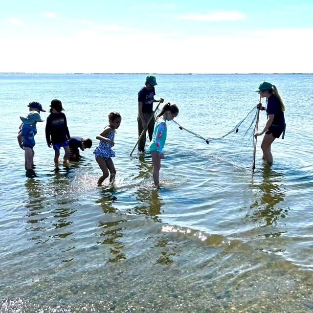 Last Saturday, FoBB hosted a children&rsquo;s event on Habitat Restoration for the Bellport Brookhaven&nbsp;&nbsp;Historical Society, at Mother&rsquo;s Beach in Bellport.
FoBB interns were impressed with the interest these young kids (ages 4-8) took 