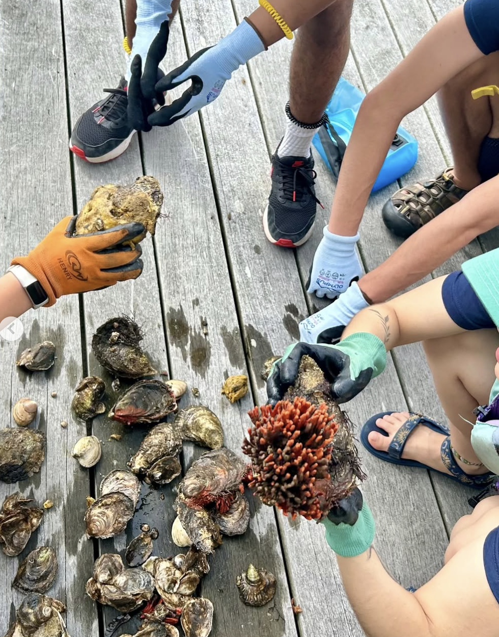 Screenshot 2026-01-08 at 6.26.37 PM.png