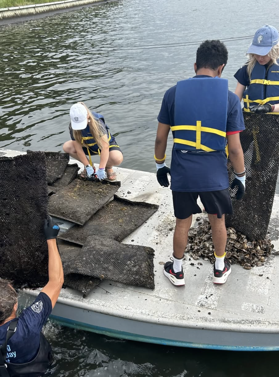 Screenshot 2026-01-08 at 6.27.12 PM.png