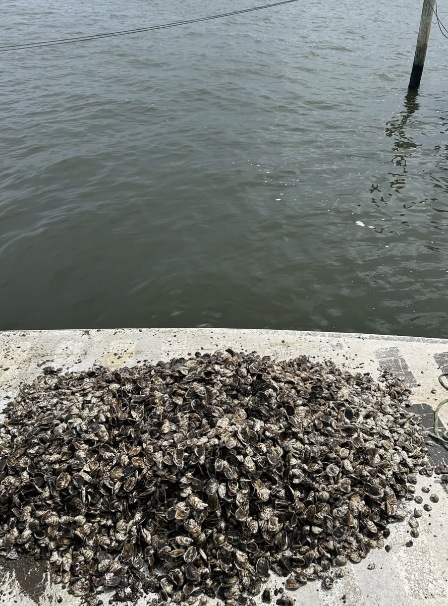 Screenshot 2026-01-08 at 6.27.34 PM.png