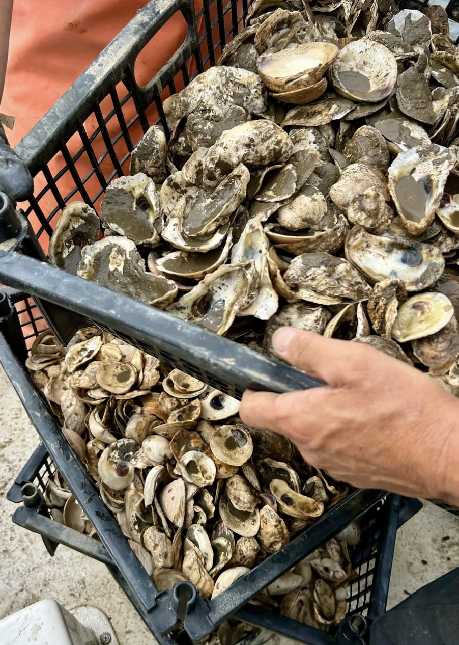 Screenshot 2026-01-09 at 5.51.58 PM.png