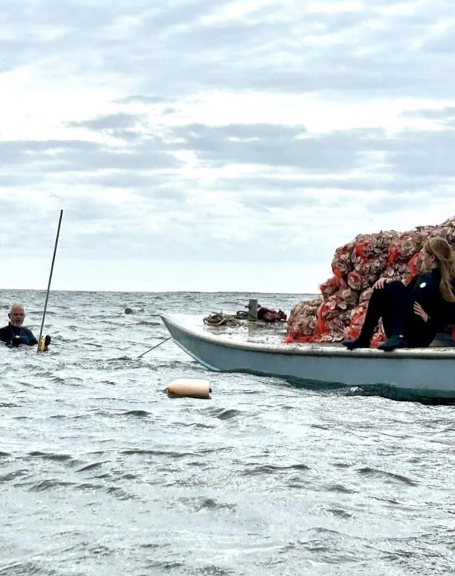 Screenshot 2026-01-09 at 5.53.03 PM.png