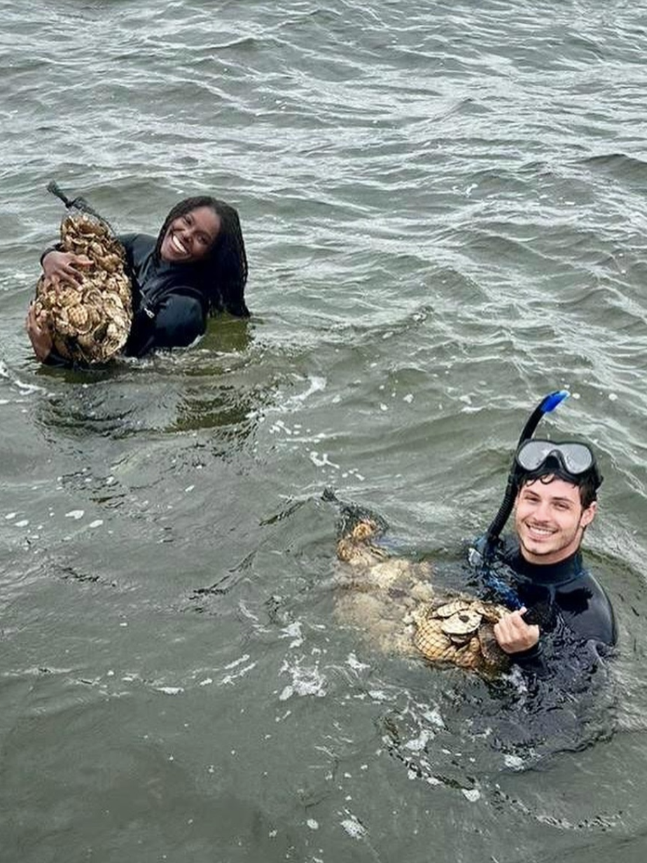 Screenshot 2026-01-09 at 5.53.11 PM.png