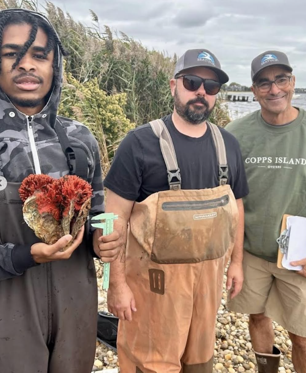 Screenshot 2026-01-09 at 5.53.31 PM.png