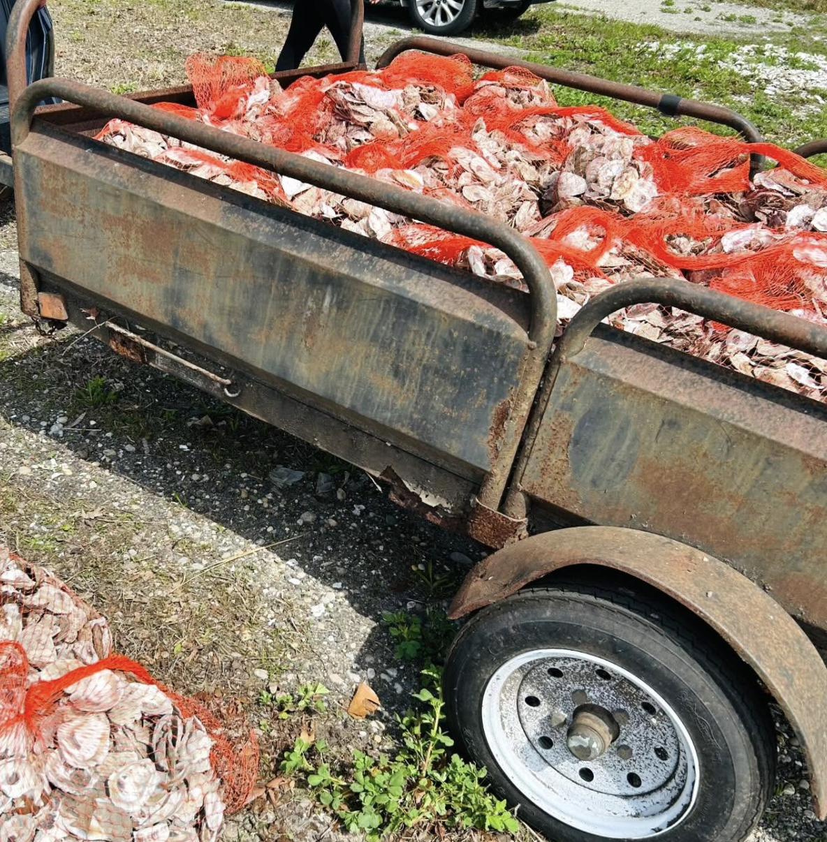 Screenshot 2026-01-09 at 6.32.37 PM.png