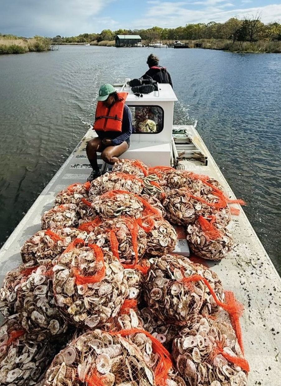 Screenshot 2026-01-09 at 6.35.31 PM.png