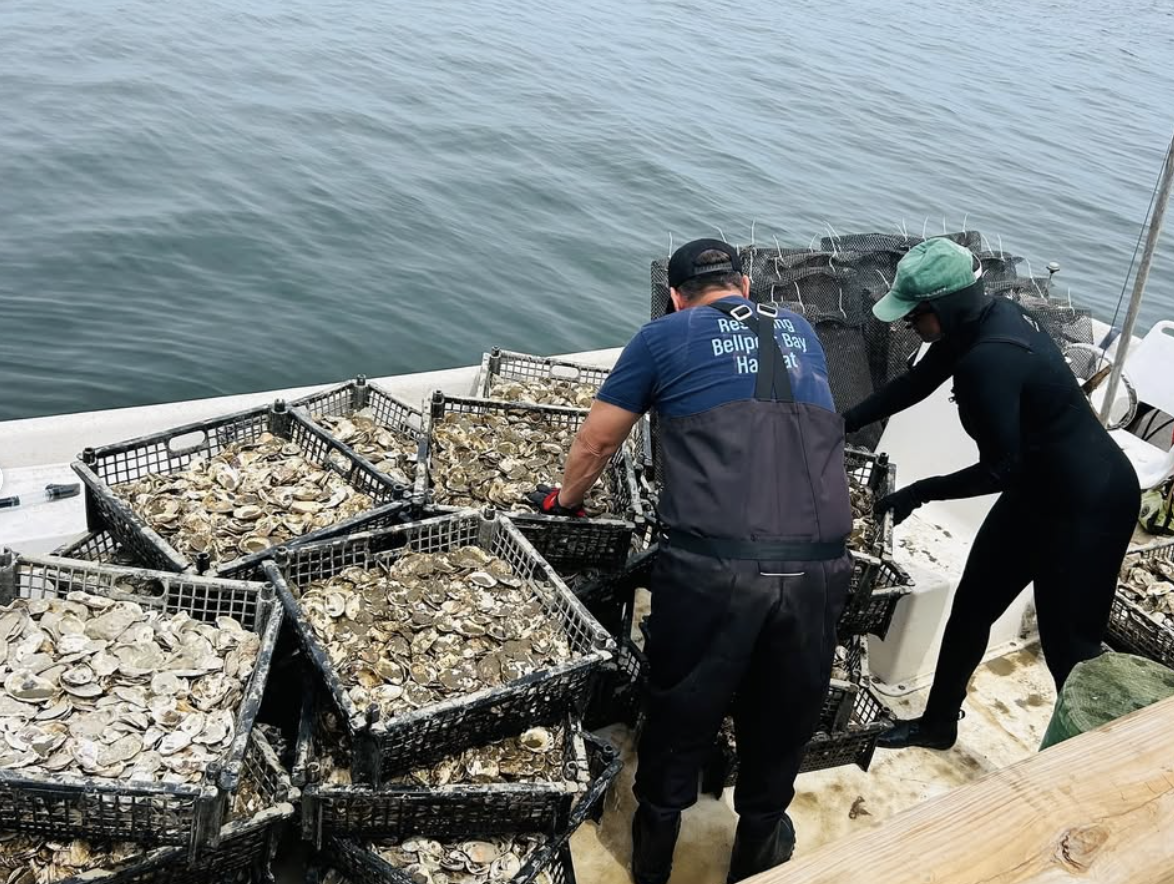 Screenshot 2026-01-09 at 11.11.22 PM.png