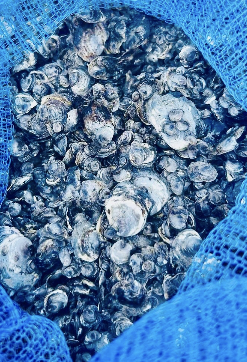 Screenshot 2026-01-09 at 11.18.06 PM.png