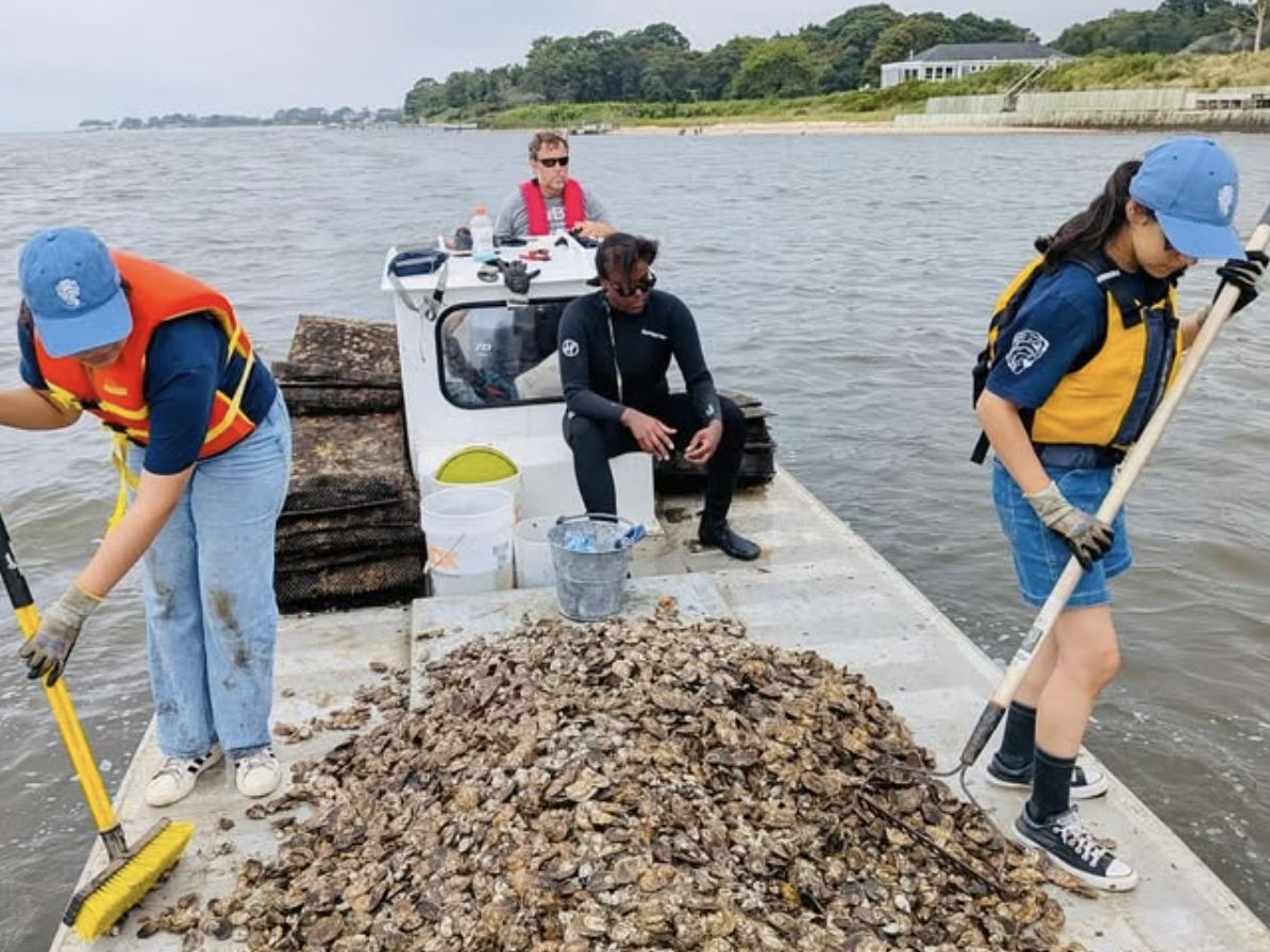 Screenshot 2026-01-09 at 11.25.46 PM.png