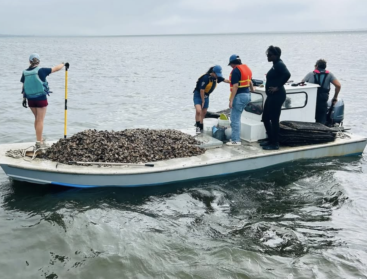 Screenshot 2026-01-09 at 11.25.52 PM.png