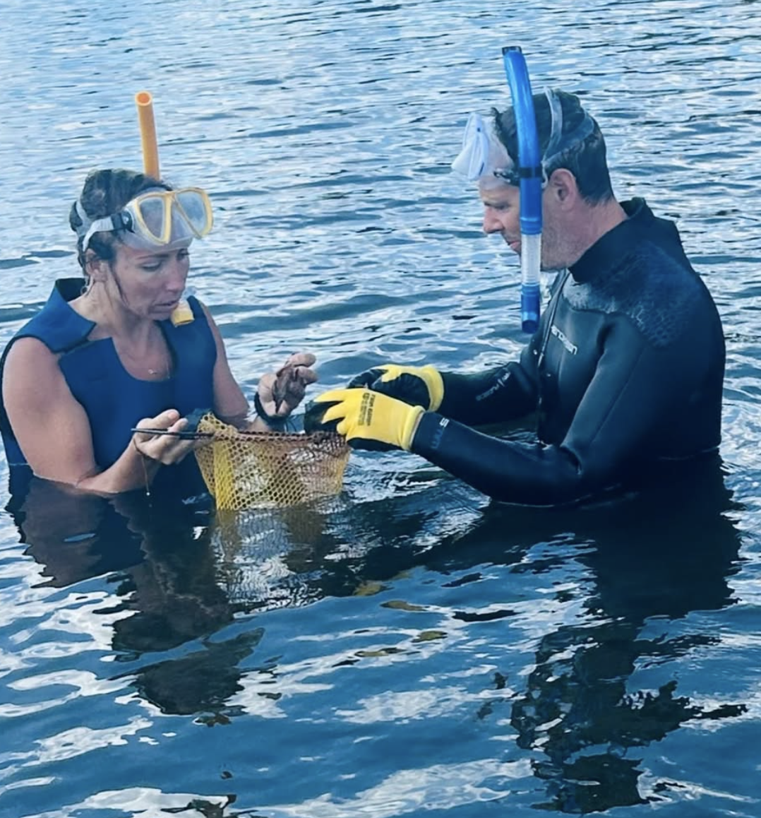 Screenshot 2026-01-10 at 3.36.47 PM.png