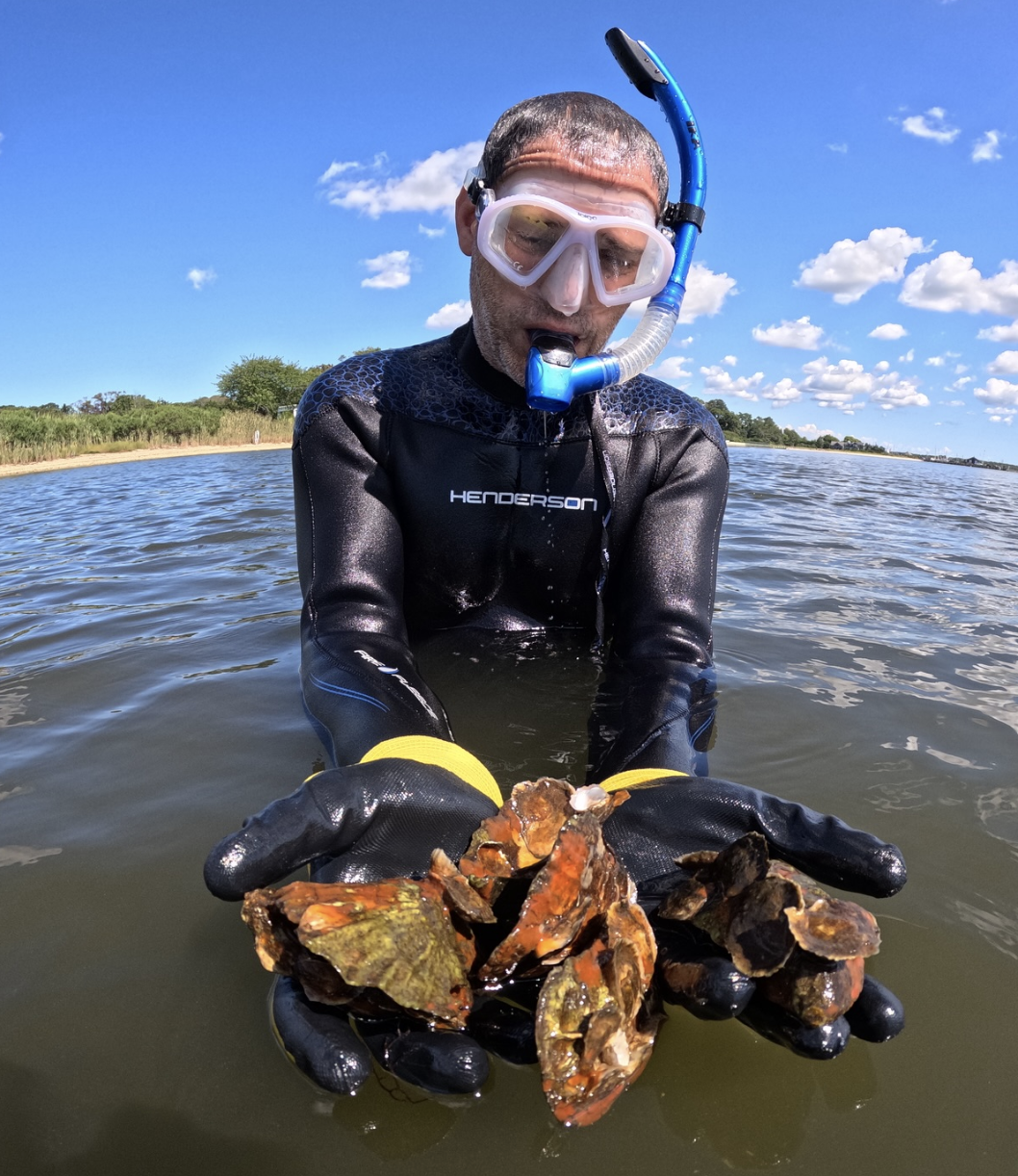 Screenshot 2026-01-10 at 3.37.03 PM.png