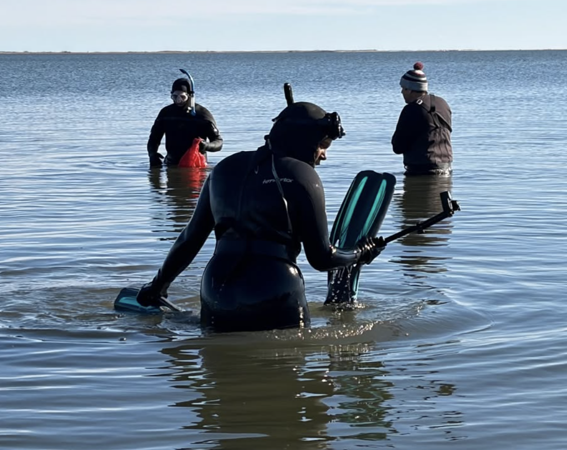 Screenshot 2026-01-10 at 3.45.36 PM.png