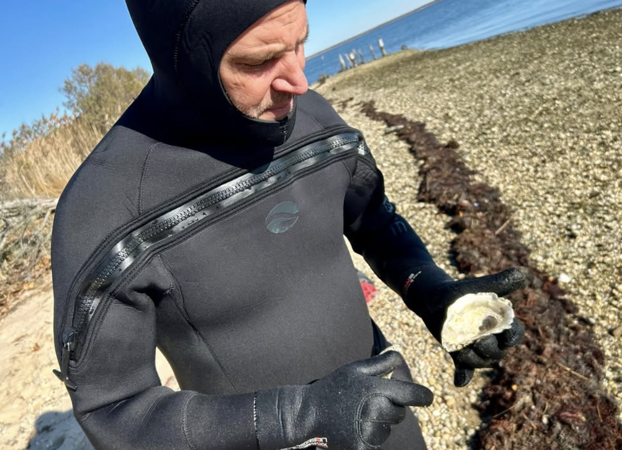 Screenshot 2026-01-10 at 3.45.31 PM.png